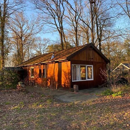 Basic Natuurhuisje Ommen/Beerze Villa Exterior photo