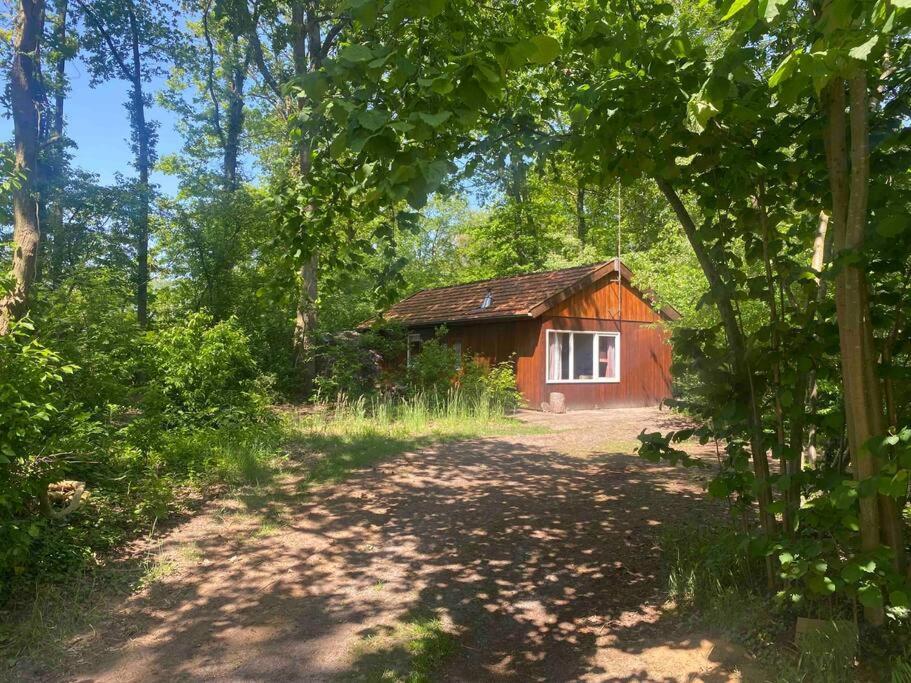 Basic Natuurhuisje Ommen/Beerze Villa Exterior photo